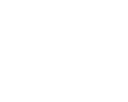 Salamence