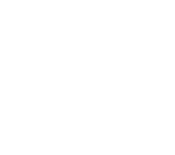 Skorupi