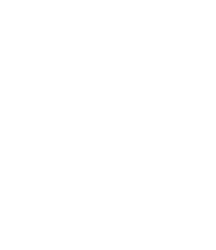 Sudowoodo