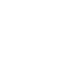 Treecko