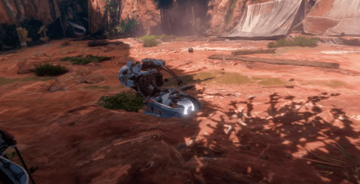 Collectible 2
