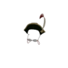 Hawkhat