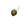 Melahoa Hat