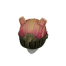 Rhenoplos Helm