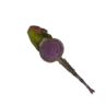 Toxic Fungasax