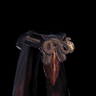 Odogaron Coil