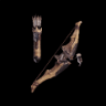 Hunters Bravebow II
